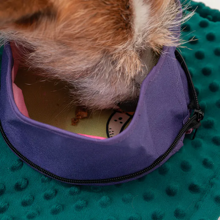 Składana miska podróżna "Wie wiórka co dobre" - Master