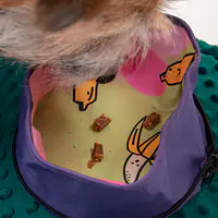 Składana miska podróżna "Wie wiórka co dobre" - Master