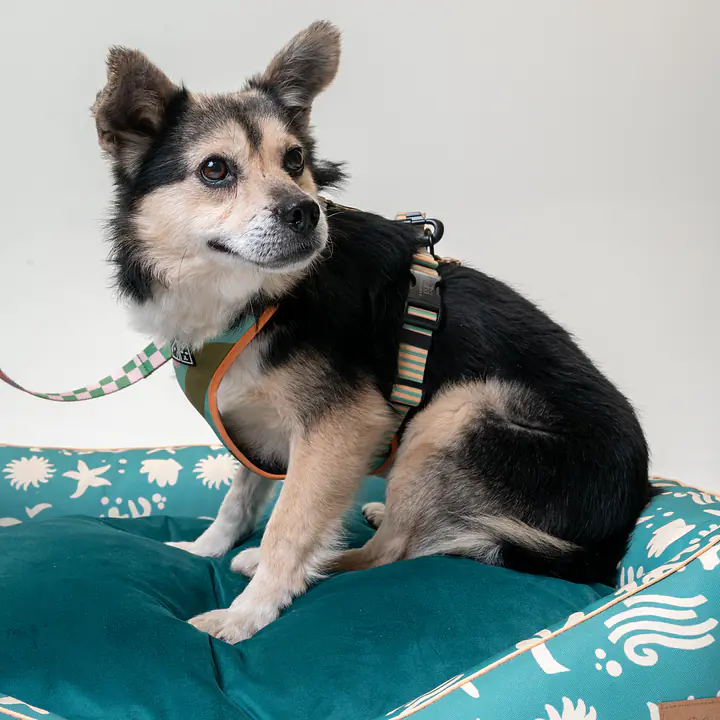 Kanapa "Beach Please" - Master