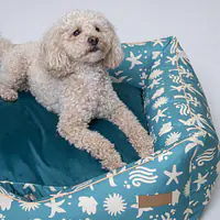 Couch "Beach Please" - Master