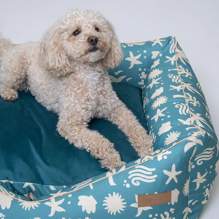 Couch "Beach Please" - Master