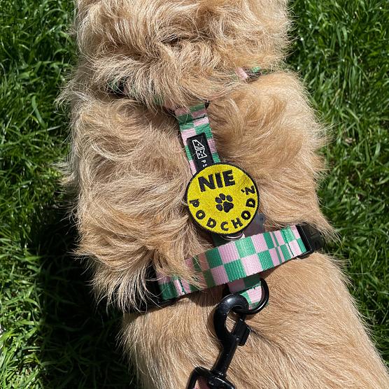 Pimp my szelki - "Nie podchodź"