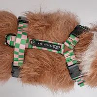 Stay-on guard harness "Check Mate" - Master