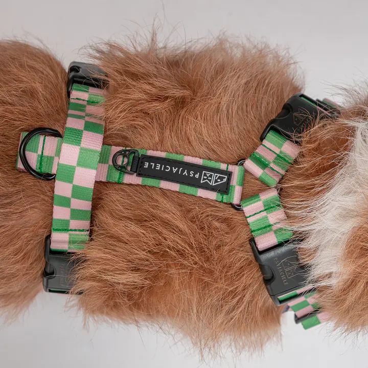 Stay-on guard harness "Check Mate" - Master