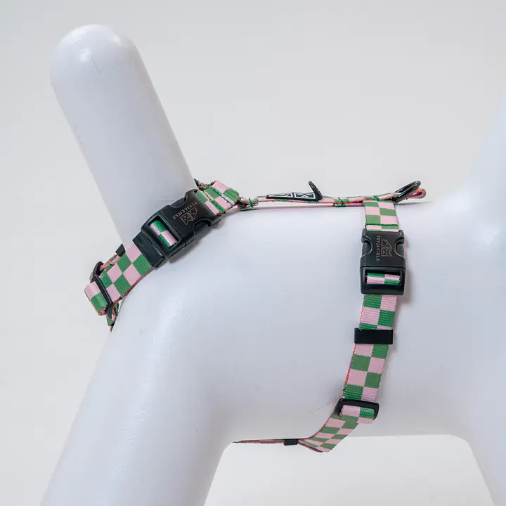 Stay-on guard harness "Check Mate" - Master