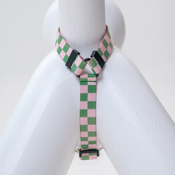 Stay-on guard harness "Check Mate" - Master