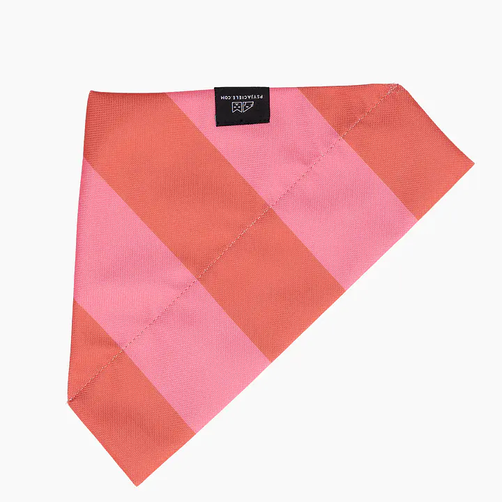 Bandanka "Najlepsze ze śmietaną" na obrożę - Master