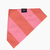 Bandana "Best with cream" collar - Master