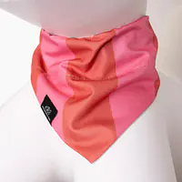 Bandana "Best with cream" collar - Master