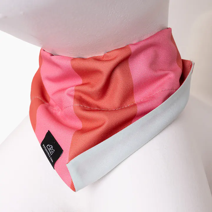Bandana "Best with cream" collar - Master