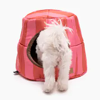 House 2in1 "Best with cream" - Master