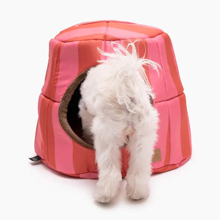 House 2in1 "Best with cream" - Master