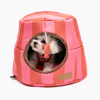 House 2in1 "Best with cream" - Master