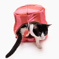 House 2in1 "Best with cream" - Master