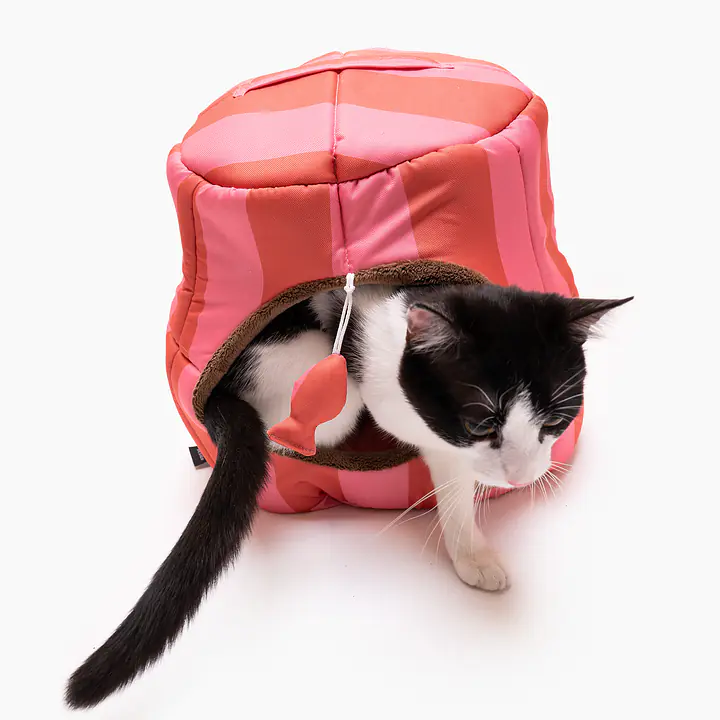 House 2in1 "Best with cream" - Master