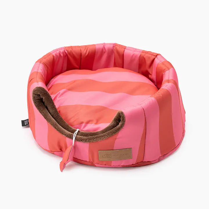 House 2in1 "Best with cream" - Master