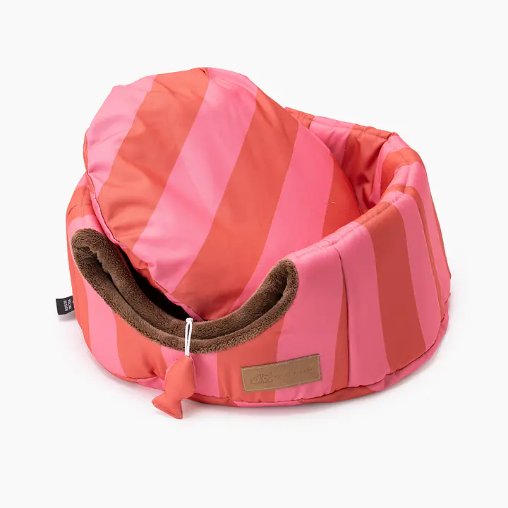 House 2in1 "Best with cream" - Master