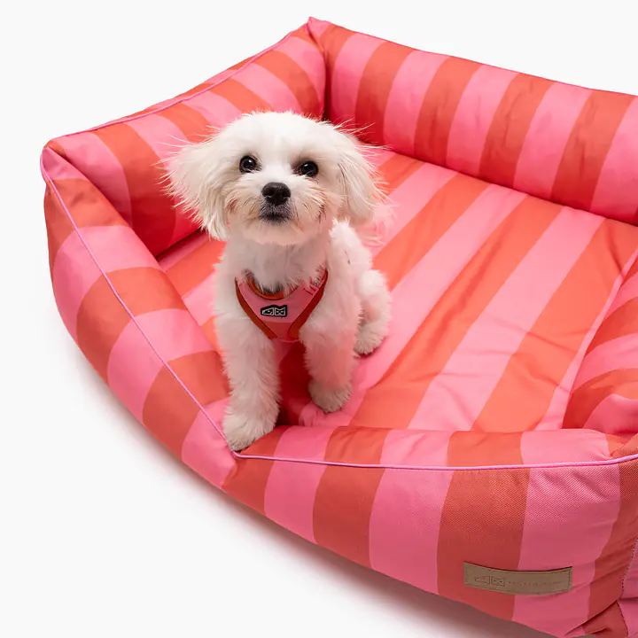 Kanapa "Najlepsze ze śmietaną" - Master