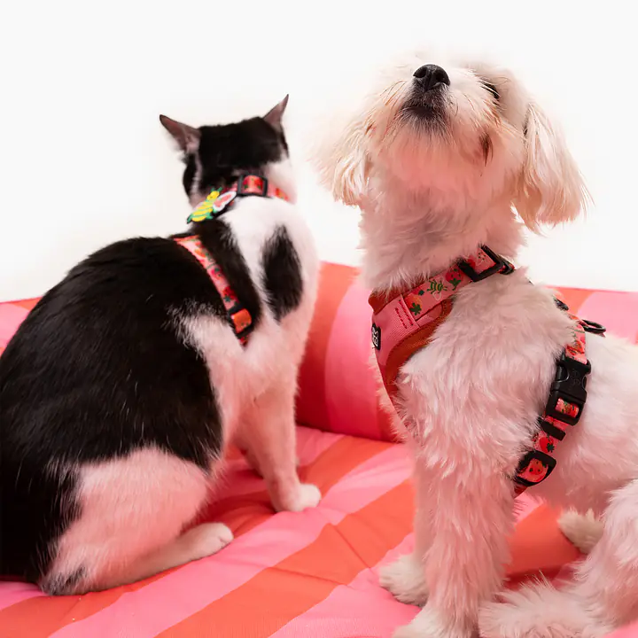 Kanapa "Najlepsze ze śmietaną" - Master