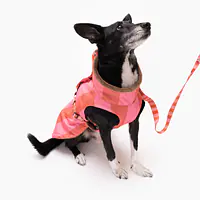 Kurtka dla psa "Najlepsze ze śmietaną" - Master