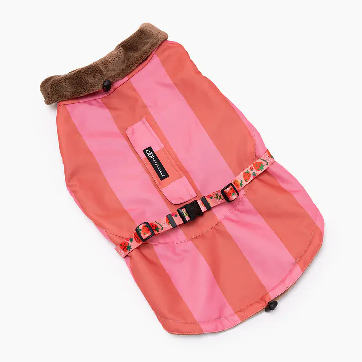 Kurtka dla psa "Najlepsze ze śmietaną" - Master