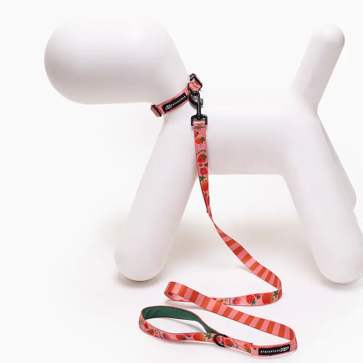 Obroża dla psa lub kota "Najlepsze ze śmietaną" - Master