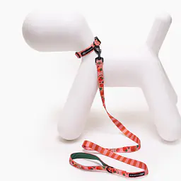 Obroża dla psa lub kota "Najlepsze ze śmietaną" - Master