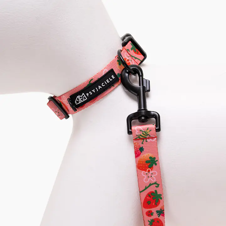 Obroża dla psa lub kota "Najlepsze ze śmietaną" - Master