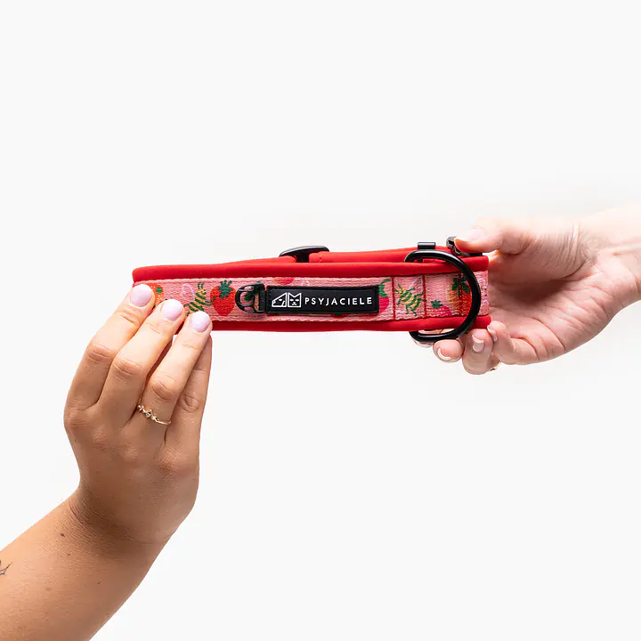 Obroża z klamrą SUPER SOFT "Najlepsze ze śmietaną" - Master