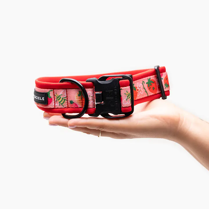 Obroża z klamrą SUPER SOFT "Najlepsze ze śmietaną" - Master