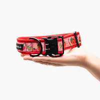 Obroża z klamrą SUPER SOFT "Najlepsze ze śmietaną" - Master