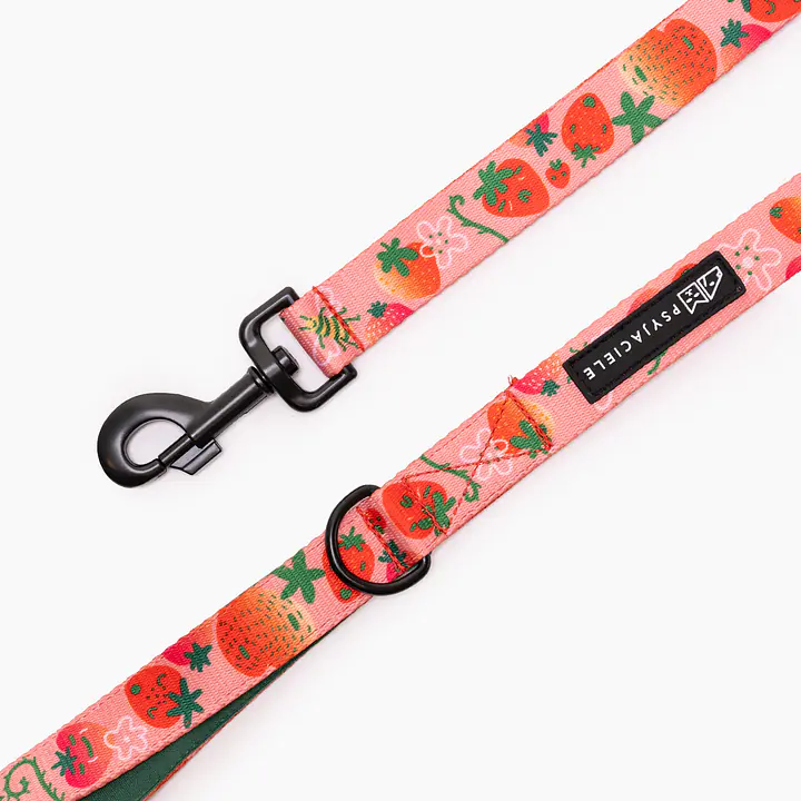 "Best with cream" city leash - Master