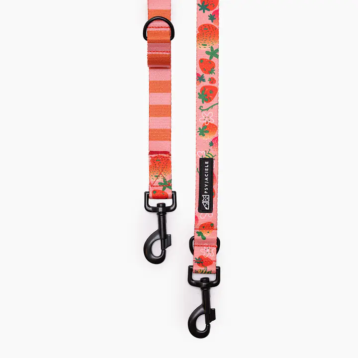 Smycz przepinana dla psa lub kota "Najlepsze ze śmietaną" - Master