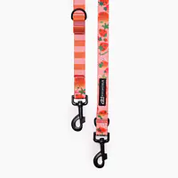 Smycz przepinana dla psa lub kota "Najlepsze ze śmietaną" - Master