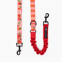 "Best with cream" leash with a shock absorber - Master