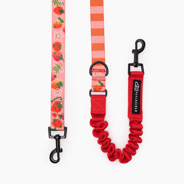 "Best with cream" leash with a shock absorber - Master