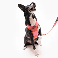 Dog or cat pressure free harness "Best with cream" - Master