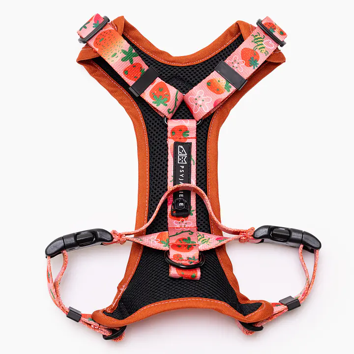 Dog or cat pressure free harness "Best with cream" - Master