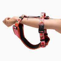 Dog or cat pressure free harness "Best with cream" - Master