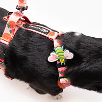 Stay-on pressure-free harness "Best with cream" - Master