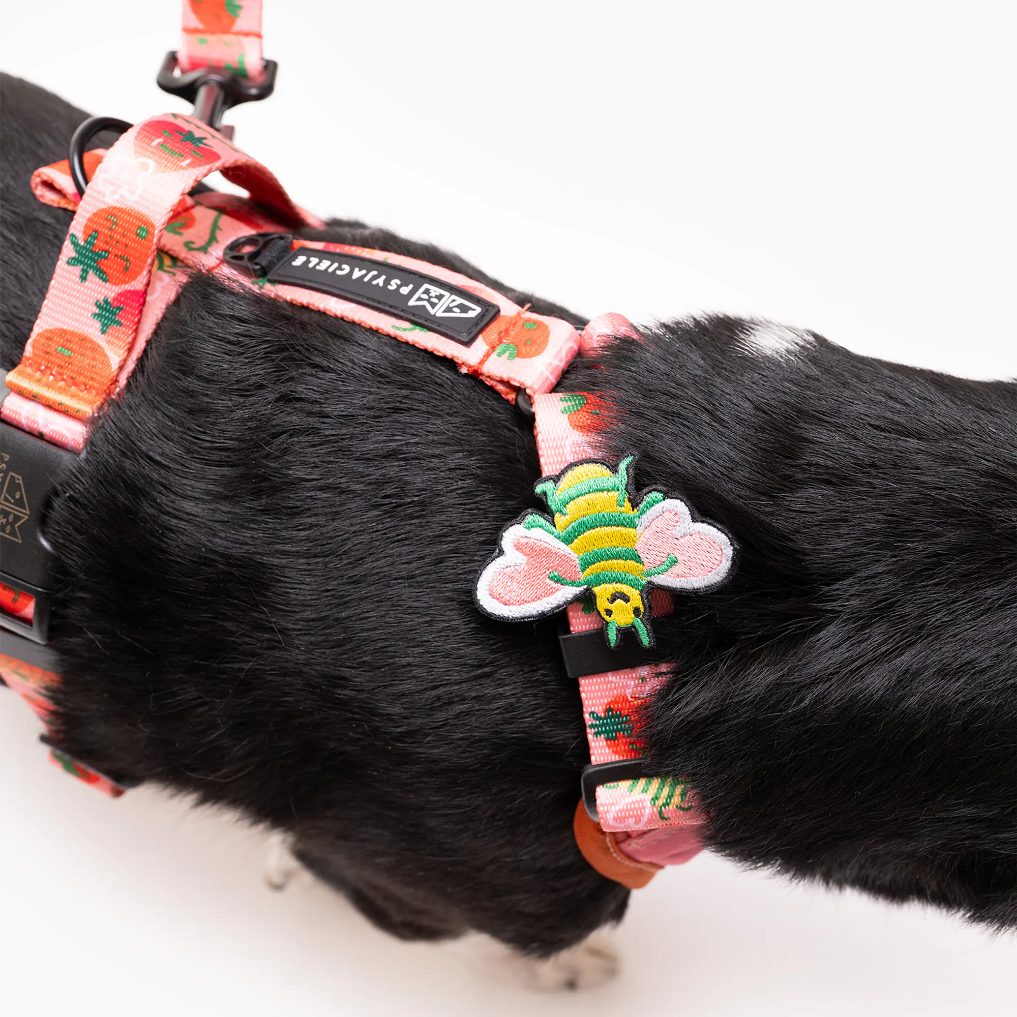 Stay-on pressure-free harness "Best with cream" - Master