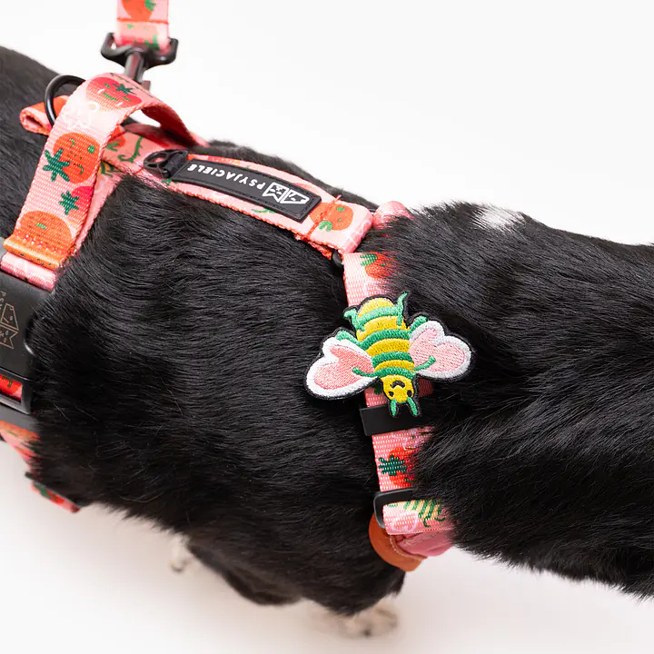 Stay-on pressure-free harness "Best with cream" - Master