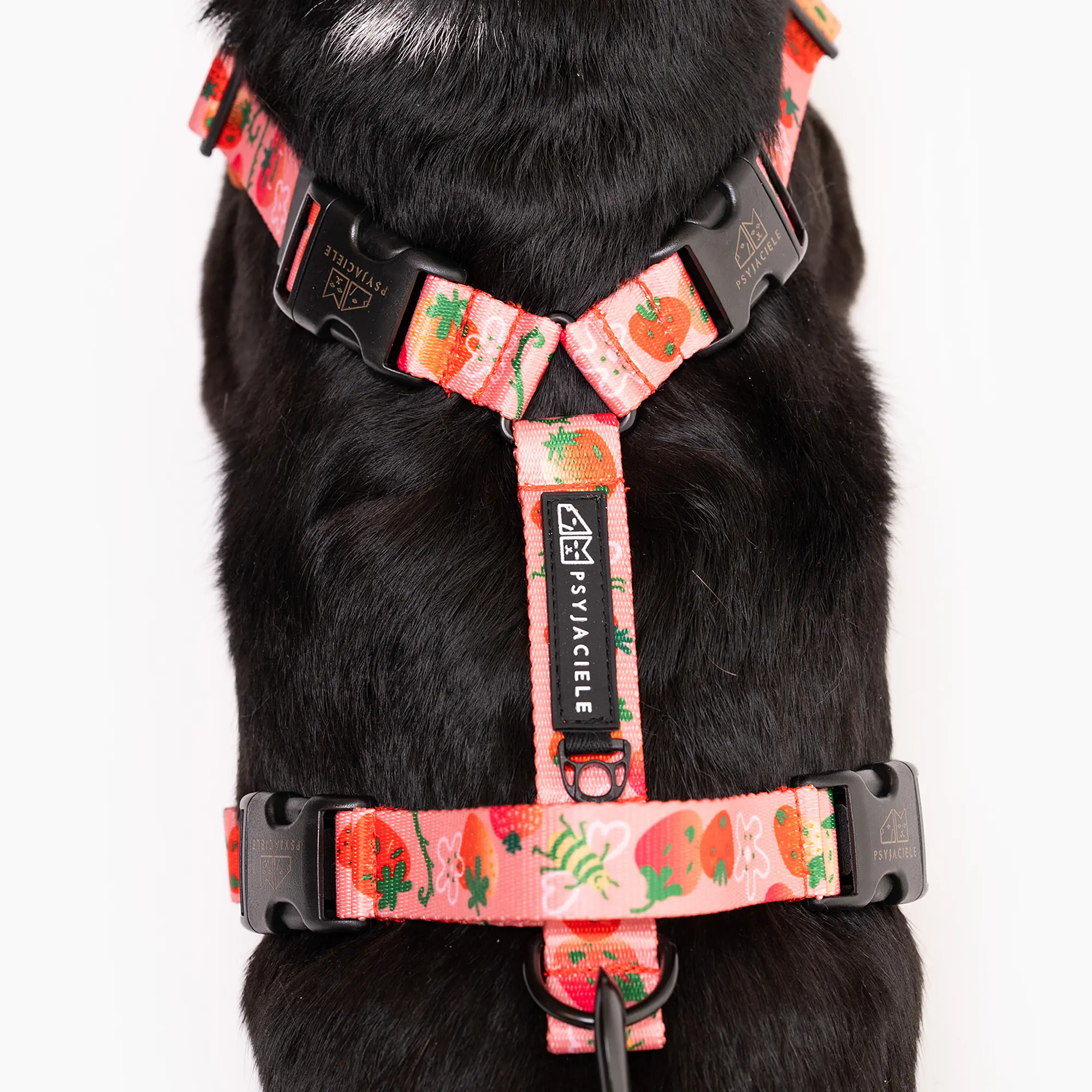 Stay-on pressure-free harness "Best with cream" - Master