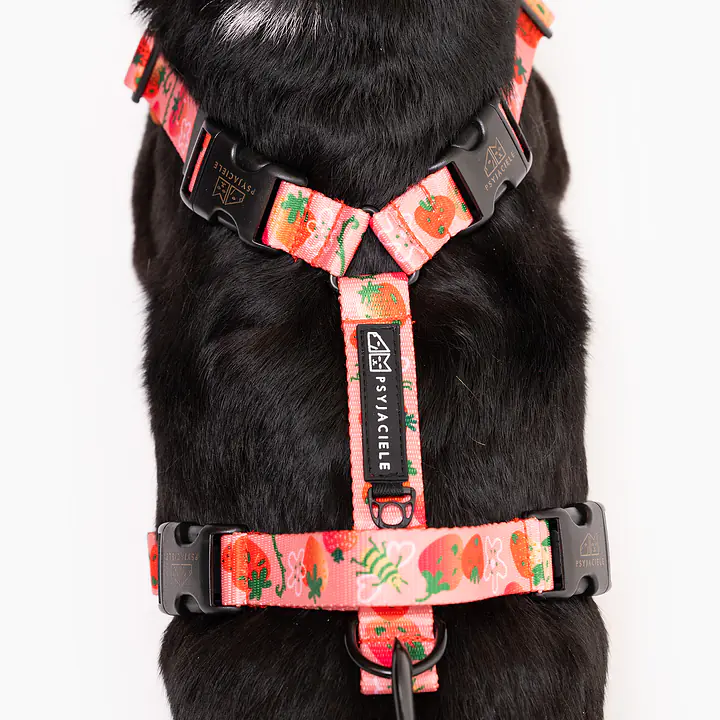 Stay-on pressure-free harness "Best with cream" - Master