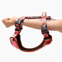 Stay-on pressure-free harness "Best with cream" - Master