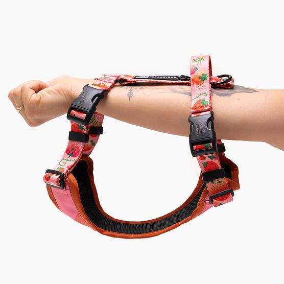 Stay-on pressure-free harness "Best with cream"