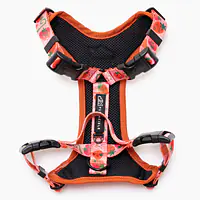 Stay-on pressure-free harness "Best with cream" - Master
