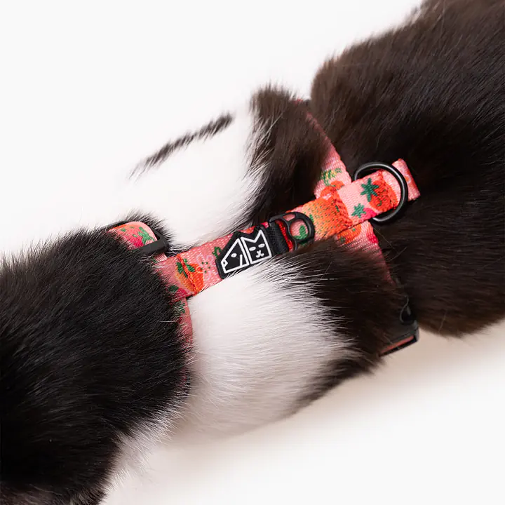 Szelki dla kota "Najlepsze ze śmietaną"  - Master