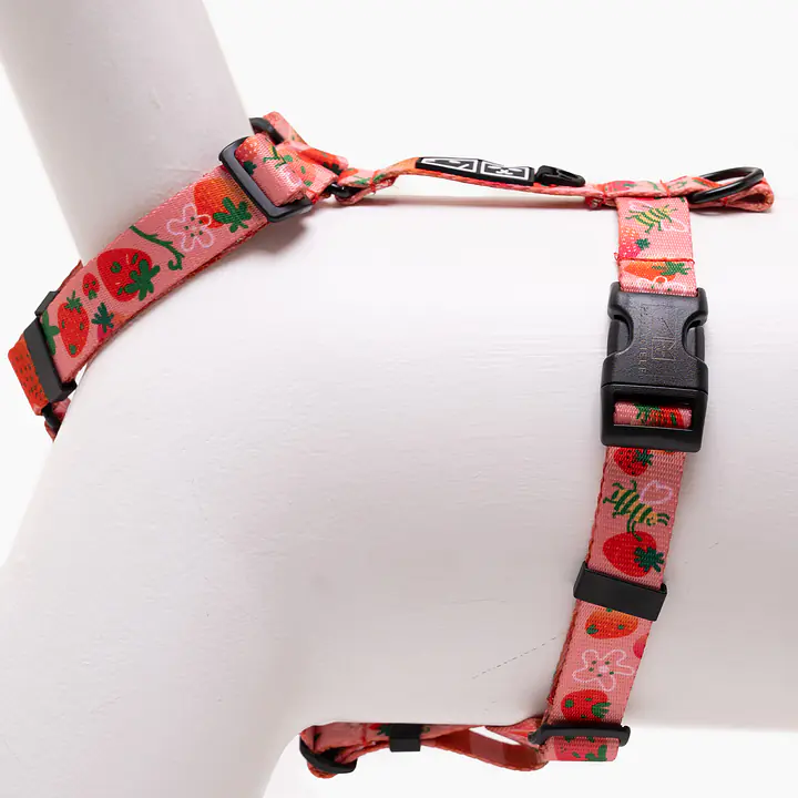 Szelki dla psa lub kota typu guard "Najlepsze ze śmietaną" - Master