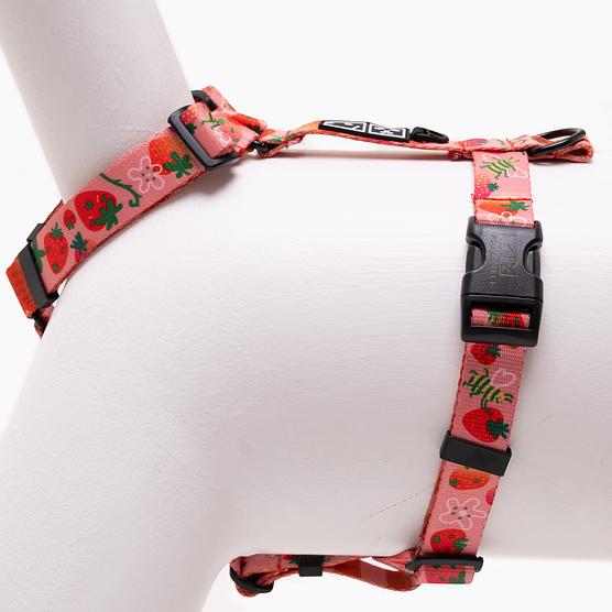 Szelki dla psa lub kota typu guard "Najlepsze ze śmietaną"